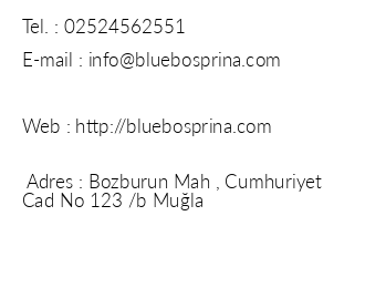 Blue Bosprina Hotel iletiim bilgileri